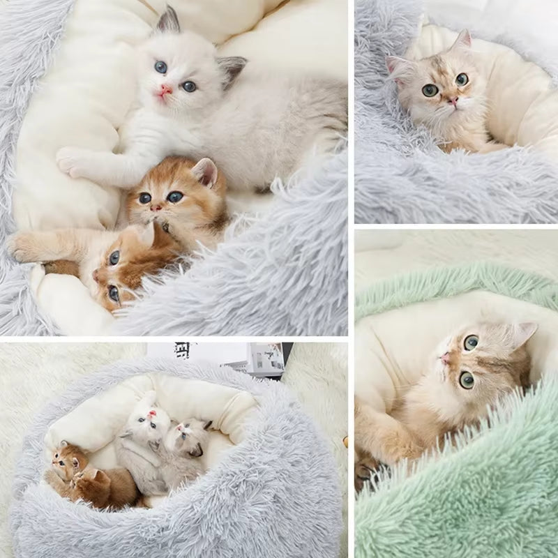2-in-1 Round Cushion & Warm Pet House for Cats and Small Dogs