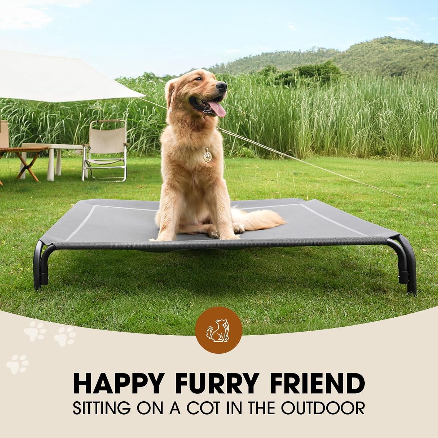 Elevated Dog Cooling Bed